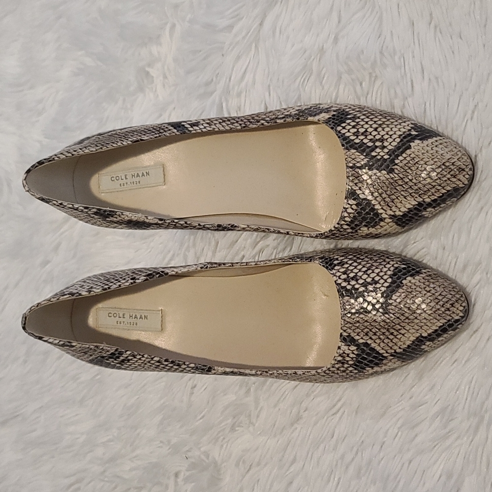 Cole Haan | snake skin heel | sz 9 - Picture 2 of 13